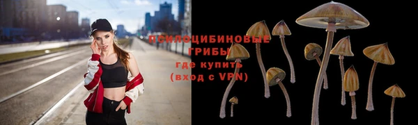 дурь Зеленодольск