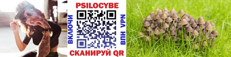 Псилоцибиновые грибы GOLDEN TEACHER Волчанск